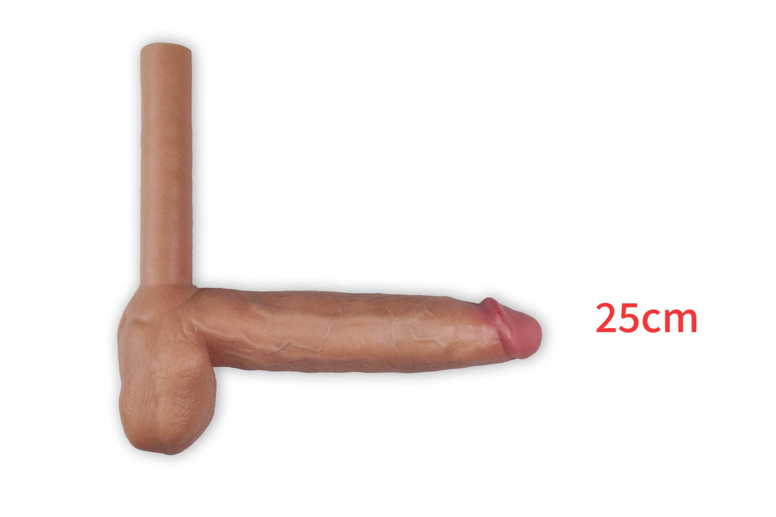 Trans conversion attachment, size comparison